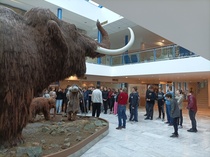 mamut1