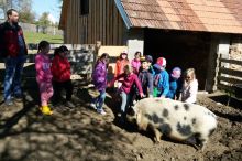 Druháci navštívili ovčí farmu